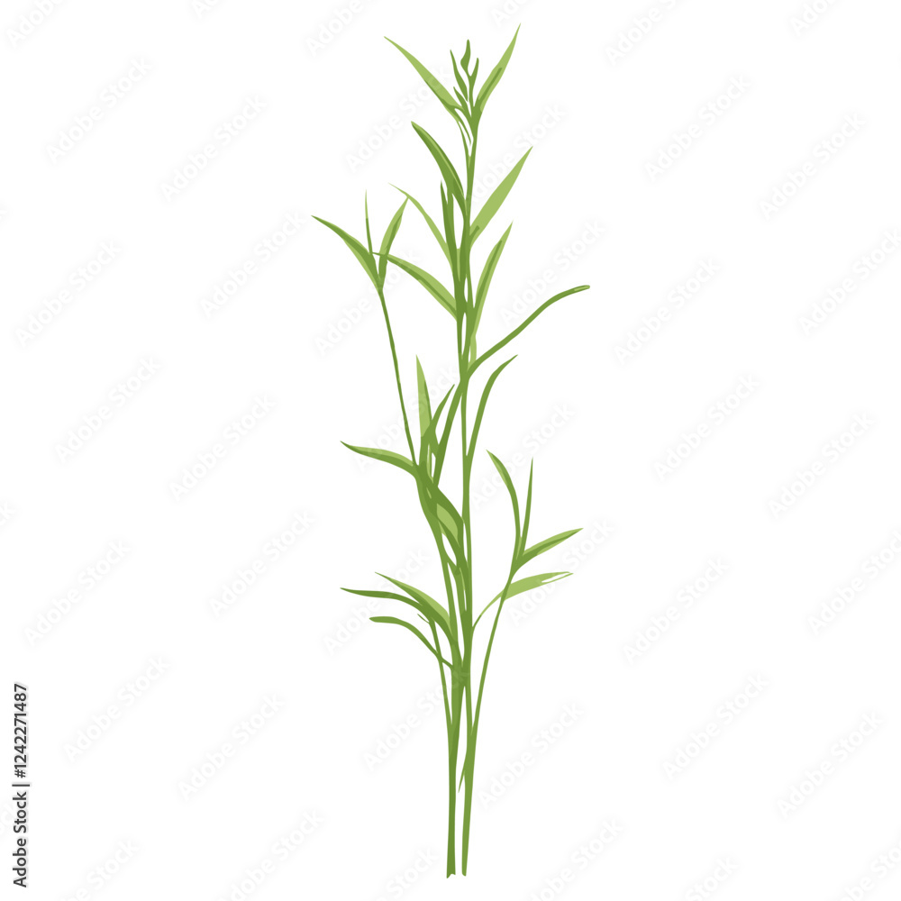 Flat vector of green grass plant illustration herbal vector Flat vector of green grass plant illustration herbal vector