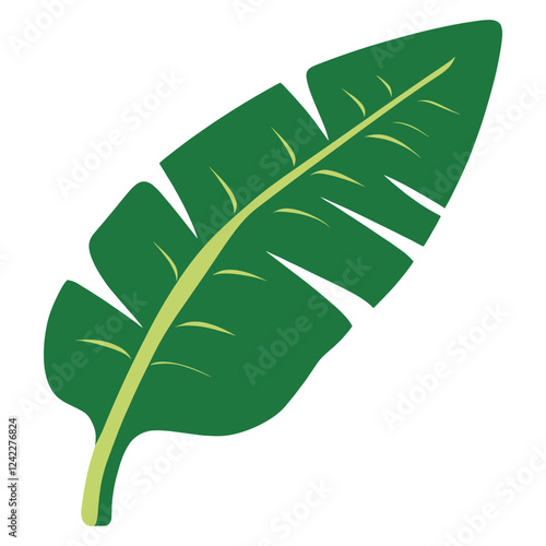 Green banana leaf illustration tropical vector vector