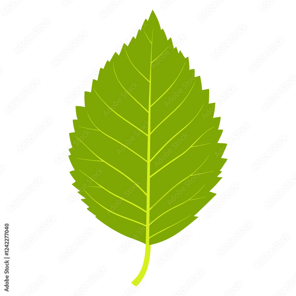 Green autumn leaf icon illustration vector botanical vector Green autumn leaf icon illustration vector botanical vector