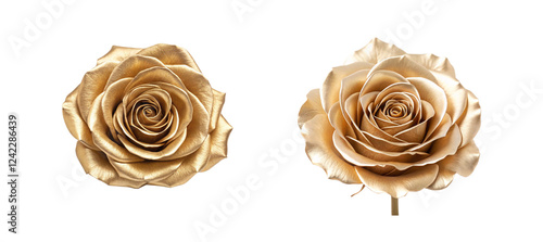 Fototapeta Naklejka Na Ścianę i Meble -  Gold Rose on White Background, Premium Flower, Luxury Floral Design