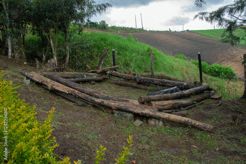 Improvised Log Chairs in Nature 