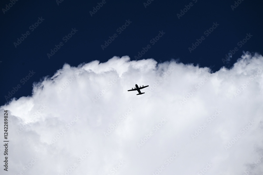 Fototapeta premium A view of blue skies and white clouds. Birds and airplanes flying in the clear sky, and the silhouettes of trees blend in with the white clouds.