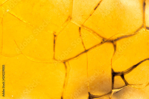 Light Brown Dragon Veins Agate Closeup  