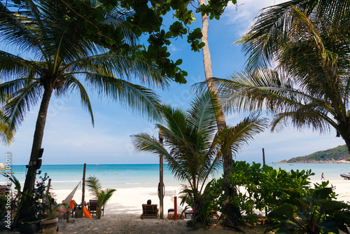 Relaxing beach view framed by palm trees along a serene coastline photo