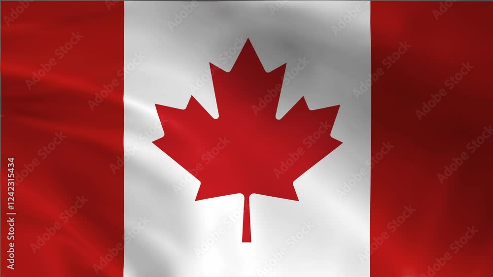 Waving Canadian Flag Video Loop Background Waving Canadian Flag Video Loop Background