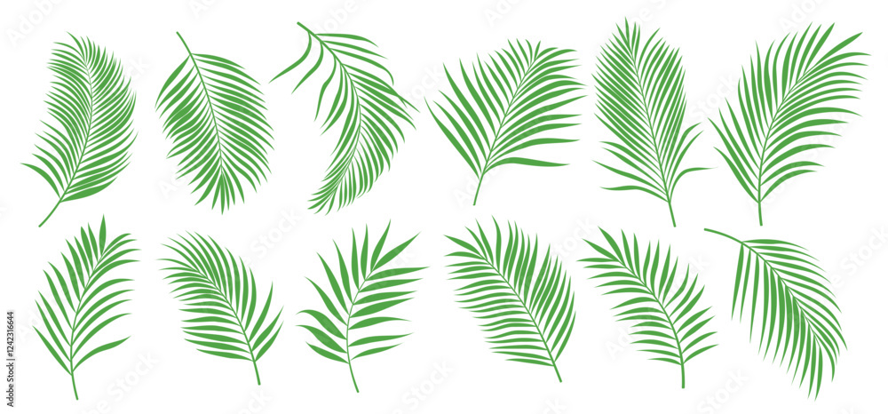 Palm leaves tropical clipart set. Palm coconut green leaf drawing clip art for summer graphic elements vector illustration.
Palm leaves tropical clipart set. Palm coconut green leaf drawing clip art for summer graphic elements vector illustration.