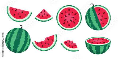 Watermelon summer fruit clipart set. Tropical fruit watermelon drawing in whole, slice and cut elements clip art collection vector illustration. 
