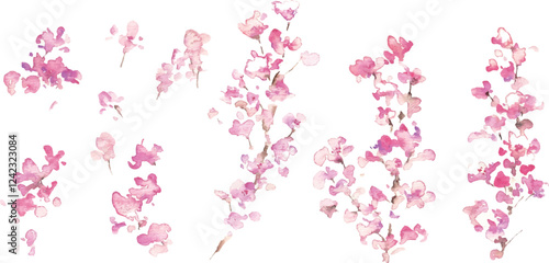 水彩画。水彩タッチのの春の桜ベクターイラスト。桜の満開背景フレーム。Watercolor painting. Spring cherry blossoms vector illustration with watercolor touch. Cherry blossoms in full bloom background frame.
