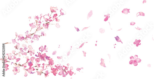 水彩画。水彩タッチのの春の桜ベクターイラスト。桜の満開背景フレーム。Watercolor painting. Spring cherry blossoms vector illustration with watercolor touch. Cherry blossoms in full bloom background frame.