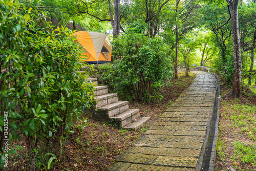 A Tent Set Up Along a Stone Pathway in a Lush Forest photo