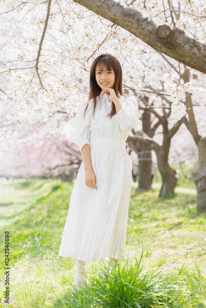 美しい日本女性 美しい日本女性