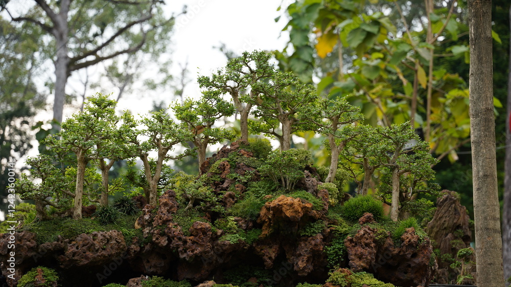 The beauty of bonsai lies in its ability to capture the essence of nature