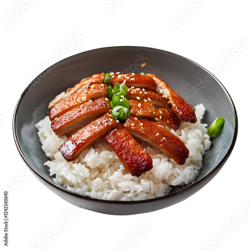 Crispy Pork with Rice photo