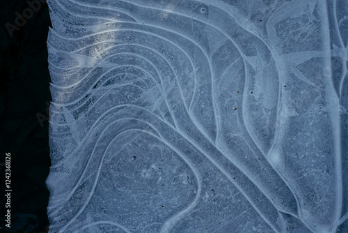 Abstract winter background with ice photo