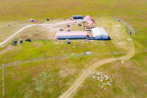 Aerial View of Grazing Sheep in Inner Mongolia Pastures photo