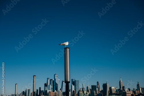 Seagull perched on pole above New York City skyline photo