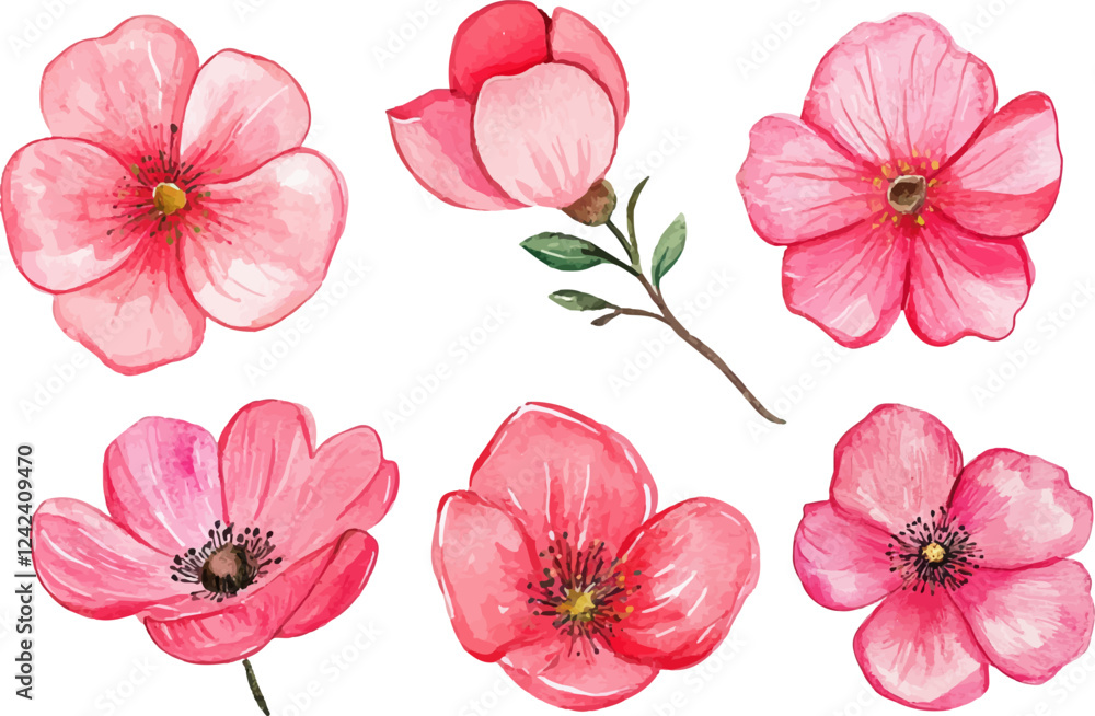 Fototapeta premium set of pink flowers