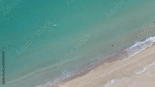 sea, waves, beach, sand, vacation, bird, holiday,바다,파도,해변,모래,휴가,새