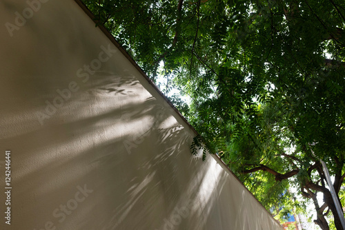 View of fence and tree with soft sunrays in urban city environment photo