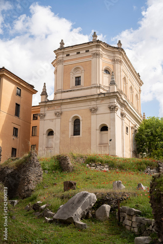 Timeless Ruins: The Roman Forum’s Ancient Arches and Wildflowers photo