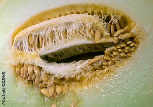 closeup honeydew melon sliced in half showing internal seeds patterns