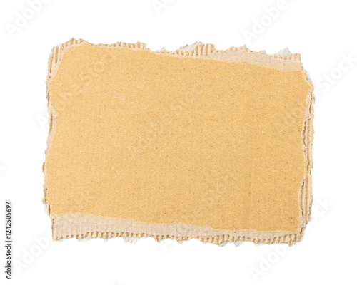 Wallpaper Mural Brown cardboard torn paper edge sheet isolated on transparent background Torontodigital.ca