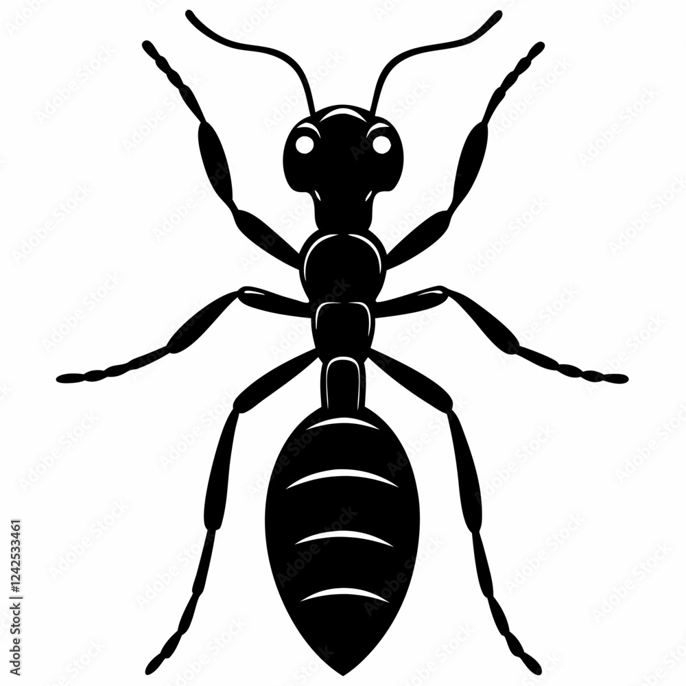 vector illustration of an ant vector illustration of an ant
