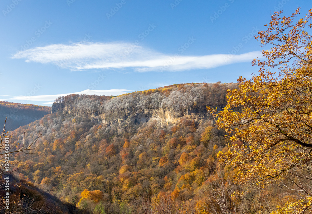 Obraz premium morning in a mountainous area, frost fell on the trees, the first rays of the sun awaken nature