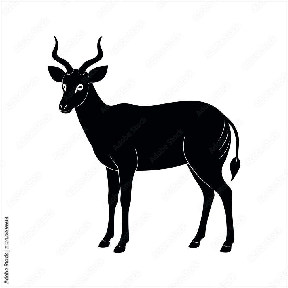 Fototapeta premium nilgai animal