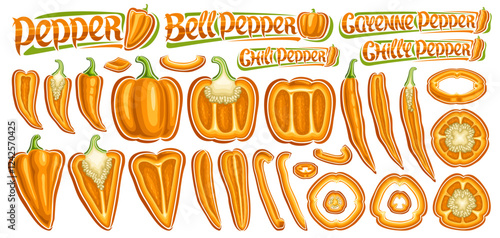 Vector Orange Pepper Set