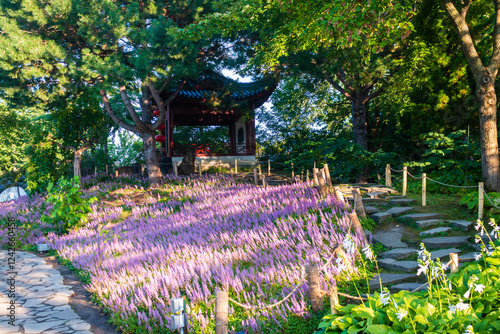 Chinese garden with flowers, traditional paillon at Botanical gardens, Montreal Canada   photo