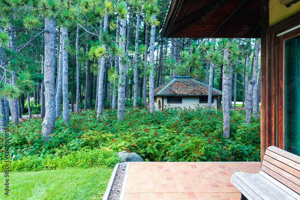 traditional Japanese garden, tea house in spring in the woods traditional Japanese garden, tea house in spring in the woods