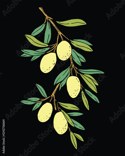 Hand-drawn Olive Branch Vector Illustration