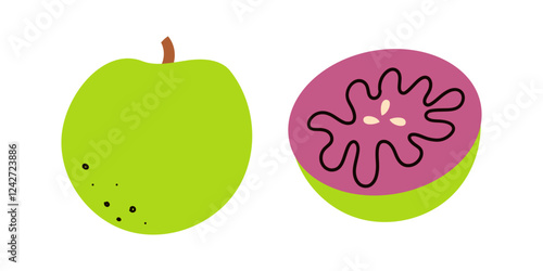 Vector illustration, star apple fruit or Chrysophyllum cainito, isolated on white background. Hand drawn doodle illustratio for banner , web and card design . photo