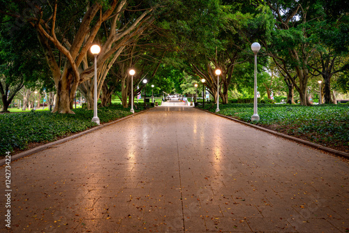Photography Sydney, NSW, Australia - Hyde park alley in the morning