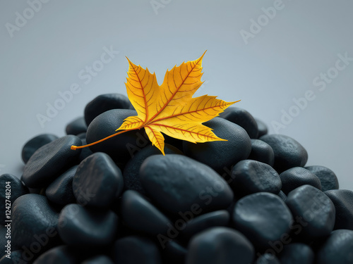 Vibrant yellow maple leaf resting on dark black round rocks, texture, nature photo