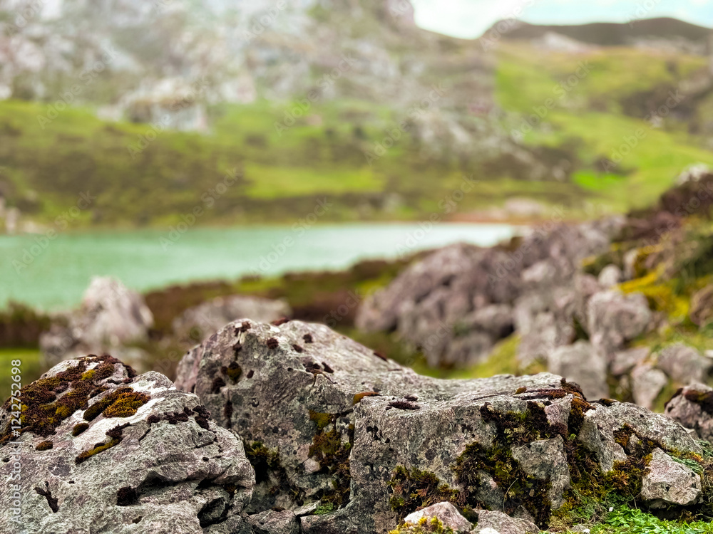 Moss covered rocks in verdant mountain landscape by a serene lake Moss covered rocks in verdant mountain landscape by a serene lake