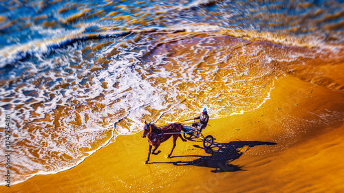Vue aérienne spectaculaire d'un cheval attelé à un sulky courant le long du rivage, entre sable doré et vagues d'eau turquoise.