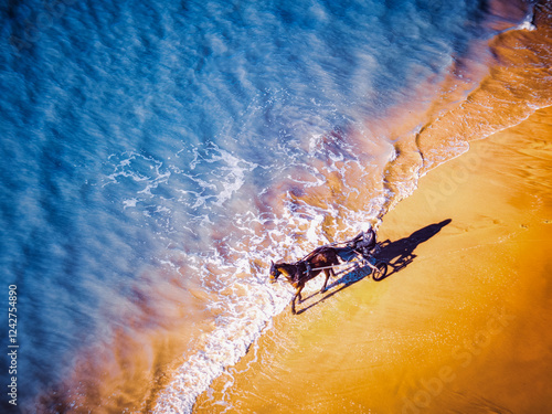 Vue aérienne spectaculaire d'un cheval attelé à un sulky courant le long du rivage, entre sable doré et vagues d'eau turquoise.