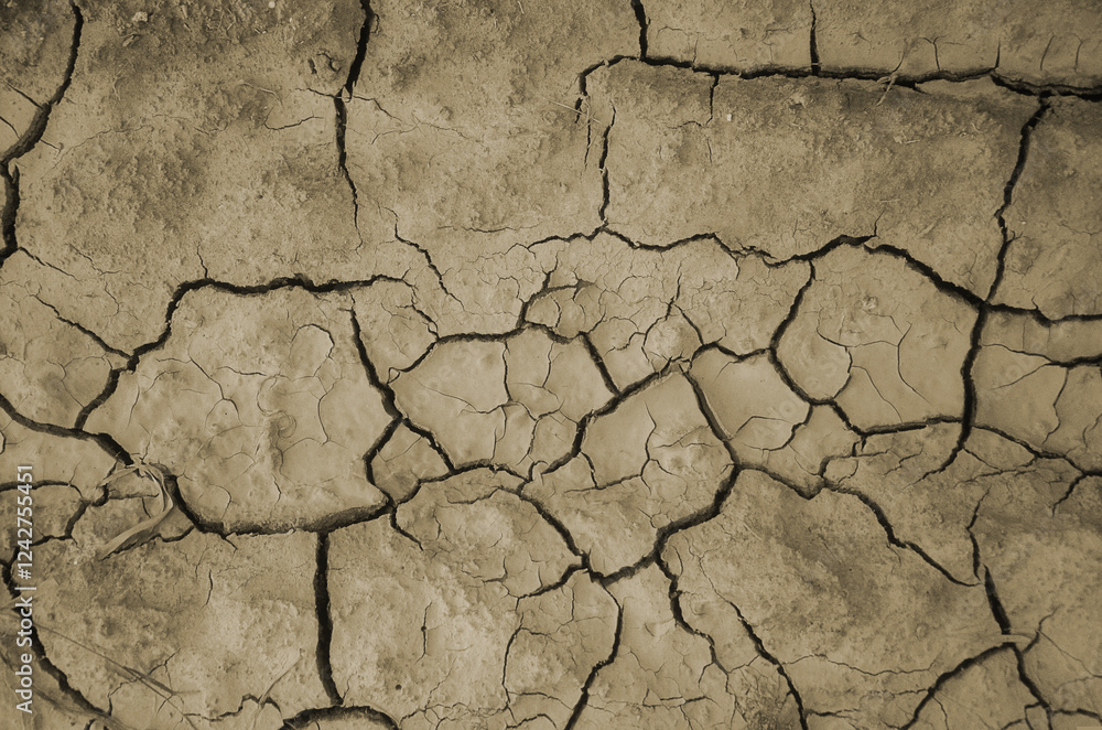 Fototapeta premium Abstract colorful background