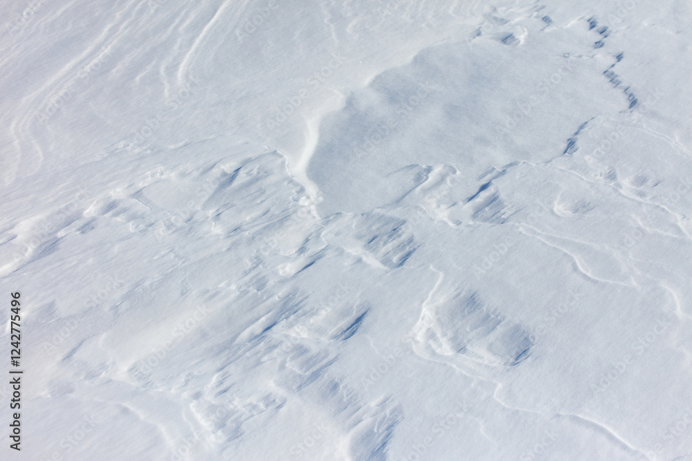 The snow is white and the ground is covered in it The snow is white and the ground is covered in it