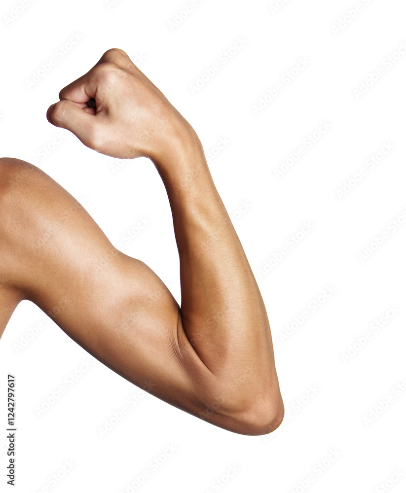 The man's arm muscles are isolated on a white background. The man's arm muscles are isolated on a white background.