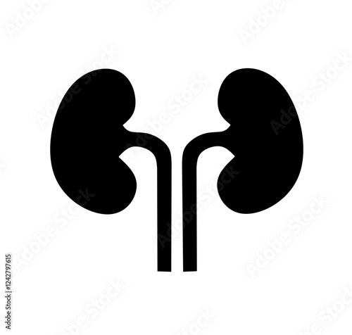 kidney icon vector on white background