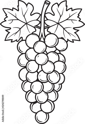 Vineyard Harvest: A cluster of ripe grapes, complete with leaves, hangs heavy, ready for harvest. A simple line drawing representing abundance and the bounty of nature. 
