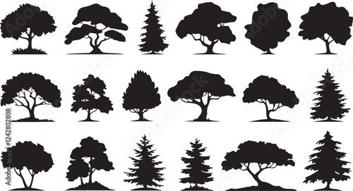 Pine tree silhouettes. Evergreen forest firs and spruces black shapes, wild nature trees templates. Vector illustration woodland trees set on white background