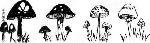 Whimsical Hand-Drawn Mushrooms Collection