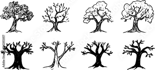 Collection of Hand-Drawn Trees in Various Styles