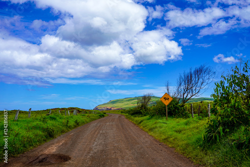 Roads of Rapa Nui, Easter Island, Chile