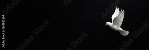 White dove symbolizing peace and spirituality against a dark background, elegy, black