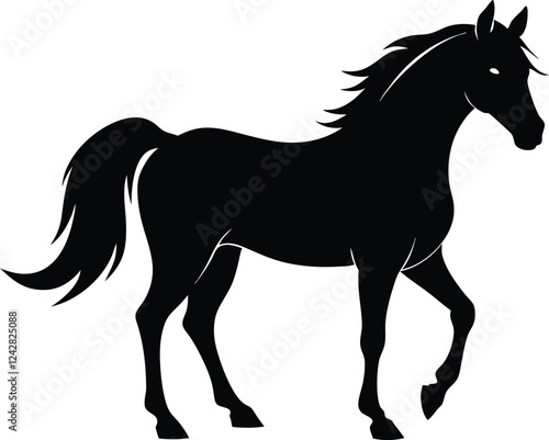 Morgan horse black silhouette,horse black vector